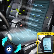 더쎈 2022년형 빅팬 6팬 8팬 12팬 차량용 송풍 쿨링 통풍 시트 커버 전차종, 더센6팬안마쿨링시트12V+닦쓰봉30장