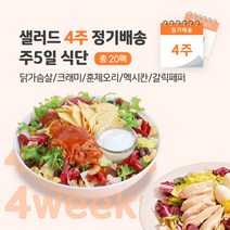 [포켓샐러드] 샐러드 4주 정기배송 주 5일 (추천 샐러드_닭+크래미+훈제오리+멕시칸+갈릭), 240g, 20팩