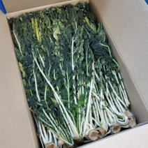 시나브로팜 양구 시래기1kg 산지직송, 1kg