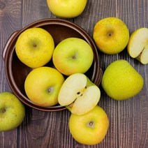 더조은푸드 황금사과 시나노골드 정품 5kg 25-28과