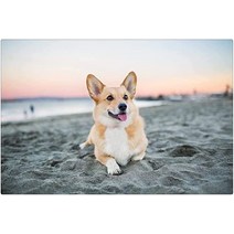 클래식 직소 퍼즐 3000 조각 성인 나무 애완 동물 Corgi DIY 교육 크리스마스 홈 장식 선물 110x87cm