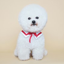 바이담수미 강아지 마린 케이프 S, 레드, 1개