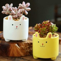 컬러 토끼 미니 화분(공화분) 작은 꽃화분, 분홍