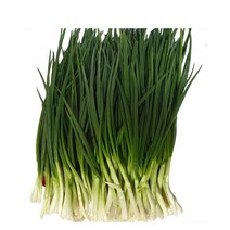 깐파2kg 1kg 국내산 백산상회, 1박스