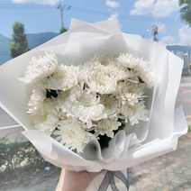 추석 성묘 국화 생화 꽃다발 성묘꽃 산소 납골당 꽃배달싼곳, 흰국화꽃다발(블랙)-10송이-가방(소)
