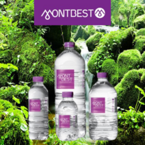 몽베스트 맛있는 물 미네랄워터 안전한생수 생수배달 건강함을 원하는곳까지 배달합니다., ROUXI_몽베스트 생수 2L x 12pet