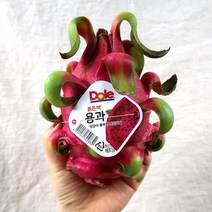 몸에 좋은 열대과일 적육종 용과 4-6입 (2.5kg내외), 1box, 5-6입 3kg내외