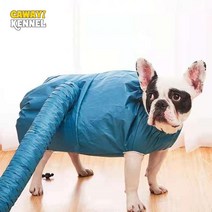 펫드라이룸 애견드라이룸 고양이드라이 애견드라이 cawayi kennel 휴대용 애완 동물 건조 가방 접는 개 헤어 드라이어 상자 블로우 가방 애완 동물 손질 드라이 가방 고양이, 5-12.5kg 애완 동물용