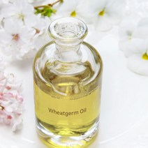 윗점 오일 100ml 500ml 1L 5L 비누 화장품 재료 베이스 캐리어 오일