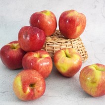 경북 홍로 사과 흠과 주스용 10kg(랜덤과) / 부사 / 아오리 / 요까