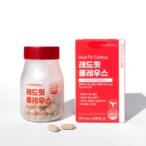 레드핏 콜레우스 다이어트 보조제 갱년기 유산균 영양제 비오틴 엽산 보이차 레몬밤 미네랄 60정x1box, 레드핏 콜레우스 1box