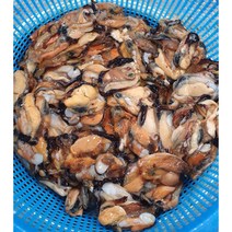 자연산홍합 백령도산 1kg