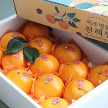 [산지에서바로]제주 천혜향 프리미엄 선물세트, [고당도] 천혜향 3kg 중과 (13-15과)