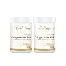 저분자 베리솔 콜라겐 100% 파우더 300g 2통 순수 콜라겐