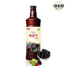 광야 복분자 베이스 970ml, 1, 본상품선택