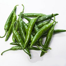 햇고추 1kg 청양고추 아삭고추 매운고추 풋고추 특품 모닝고추 청고추 땡초 내외, 단품, 단품