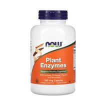 나우푸드 Now Foods NF 플랜트엔자임 식물효소 리파아제 셀룰라아제 락타아제 셀룰로오스 240정, 1개, 기본