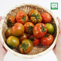 당도보장 대저 짭짤이 토마토 2.5kg, 로얄과 2.5kg 혼합과 2S~M