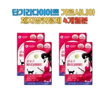 2주 한달 단기간다이어트 가르시니아 체지방컷팅제 남성 복부 내장지방 똥배 뱃살 살빼는법 HCA 30대 40대 체지방감소 가르니시아 탄수화물컷팅제 4개월분