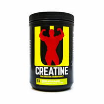 유니버셜 크레아틴 모노하이드레이트 500g 85서빙, 1개, 후르츠펀치