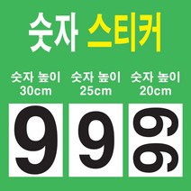 숫자데코 대형 번호 숫자 스티커 큰 사이즈 20cm 25cm 30cm 35cm, 레드, 높이35cm 숫자3