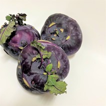 싱싱한 제주산 콜라비 (특) 3kg 5kg 10kg, 1개, 3kg(3~5개내외)