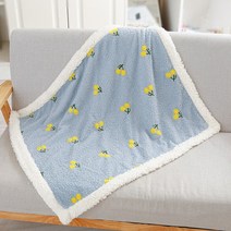 라클라우드침대 더블 레이어 인쇄 애완 동물 담요 구름 벨벳 플러스 두꺼운 개 이불 케이프 고양이 매트리스 겨울 용품, [03] 100X80cm, [02] 파란