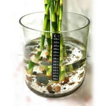 뉴 멀티유리 온도측정 유리용기 (지름25cm- 높이20cm)-구피어항 원기둥어항 평면온도계 식물온도측정 평면온도계 실내온도측정 멀티원형유리