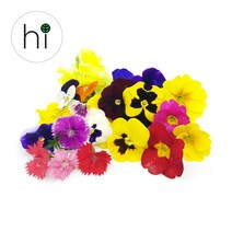 [허브아이] 식용꽃 혼합 30송이, 1세트