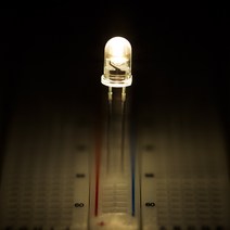아두이노 LED(5파이 5mm 고급 고휘도 투명 백열등 빛/Warm White LED 발광다이오드), 묶음(10개)
