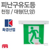 화경산업 피난구유도등 대형 천정 단면 양면 비상구 LED, 01-화경-피난/천정/대형-단면
