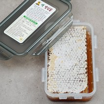팩 벌집꿀 290g, 단품, 단품
