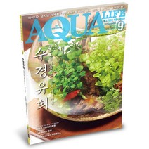 아쿠아라이프 2023년 9월호 (수경유희)