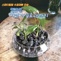수경재배용 맥반석 수돗물염소제거 정수 탈취 100%국내산 맥반석, 수경재배용 맥반석(20~30mm) 2kg