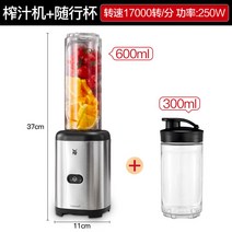가성비 WMF 미니 믹서기 믹스앤고 컬트엑스 600ml, 본체+휴대용컵 300ml