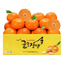 제주시농협 귤로장생 당도선별 레드향 2kg 4kg, 농협 레드향 2kg 중과(가정용)
