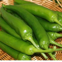 오이맛고추(상)1kg 1박스 자연대로팜웨이