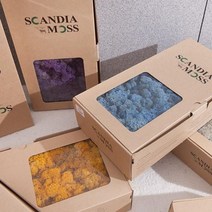 [바보사랑] 스칸디아모스 500g 공기정화 DIY 만들기 재료[플라워트리], 상세 설명 참조, 색상:모스그린(10554)