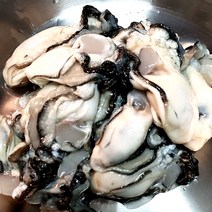 [해미수산] 바다품은 통영 깐 생 굴 1kg, 대굴 1kg, 1개