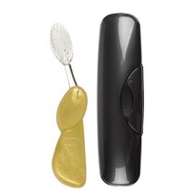 RADIUS 칫솔 빅 브러시 BPA 프리 및 ADA 승인 오른손 투명 큰 케이스 블랙 1개입, Gold Satin