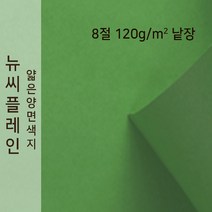 종이문화 얇은 양면색지 뉴씨플레인 120g 8절 낱장 1매 No.60 초록, 1장