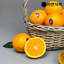 [자연식탁]고당도 네이블 오렌지 50과 중과(개당 200g내외), 단품