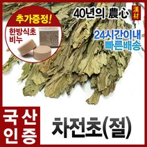 자애인 국산 차전초 600g 질경이차 말린차전초 질경이 차, 단품, 1개