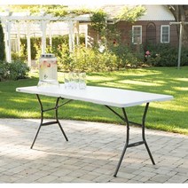 T80653 라이프타임 테이블 상판접이식 캠핑 낚시 베란다 정원 마당 사무실 학원 가정