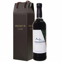 차전 솔잎마을 750ml 농축액 건강음료, 1개, 단품