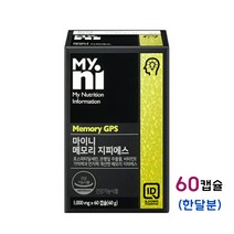 마이니 일동 메모리 지피에스 기억력개선영양제 은행잎 추출물 징코 포스파티딜 세린 콜린 인지질 토코페롤 인지력 집중력 수험생 청소년 두뇌 뇌 필수 영양제 건강기능식품 효능 추천, 1개, 60캡슐