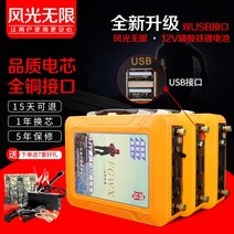 리튬배터리 12V 대용량 인산철 파워 뱅크 캠핑 낚시용 60A 100A, 120A (케이스+충전기 증정) + 1개