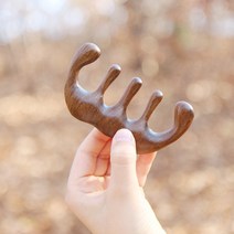 에코아미 두피 괄사 마사지 나무 빗 경락 얼굴 승모근 붓기, 지압 괄사