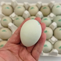 계란계란유정란달걀 추천 순위 모음 100