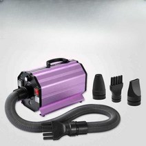 펫 드라이기 업소용 가정용 털말리기 고양이 저소음, CP-200(2200W)-본토 플러그